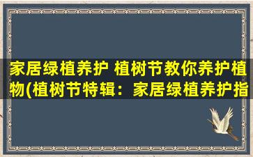 家居绿植养护 植树节教你养护植物(植树节特辑：家居绿植养护指南！)